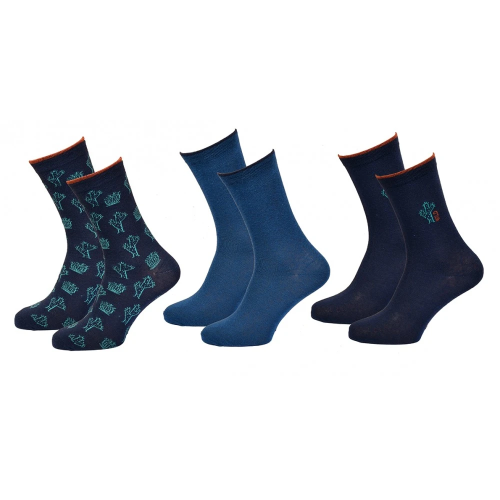 Chaussettes Enfant TWINDAY Qualité Et Confort-Assortiment Modèles Photos Selon Arrivages- 14 Chaussettes Enfant TWINDAY Qualité Et Confort-Assortiment Modèles Photos Selon Arrivages- – Image 12