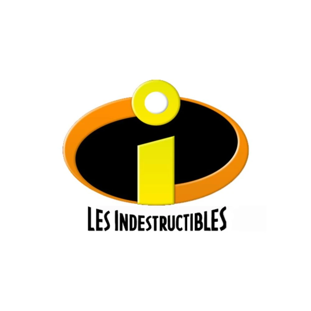Chaussettes Pack Garçon LES INDESTRUCTIBLES 13 Chaussettes Pack Garçon LES INDESTRUCTIBLES – Image 11